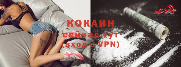 СК Абинск